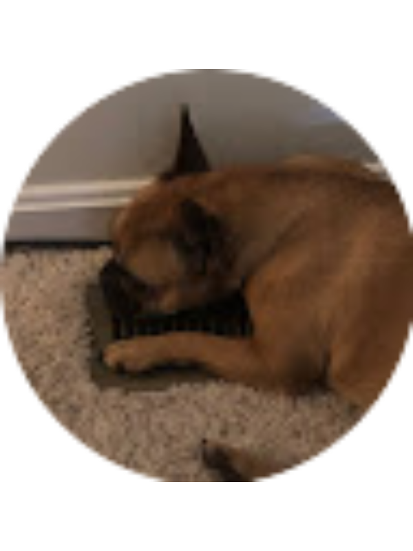 Photo of Nathan Ekman