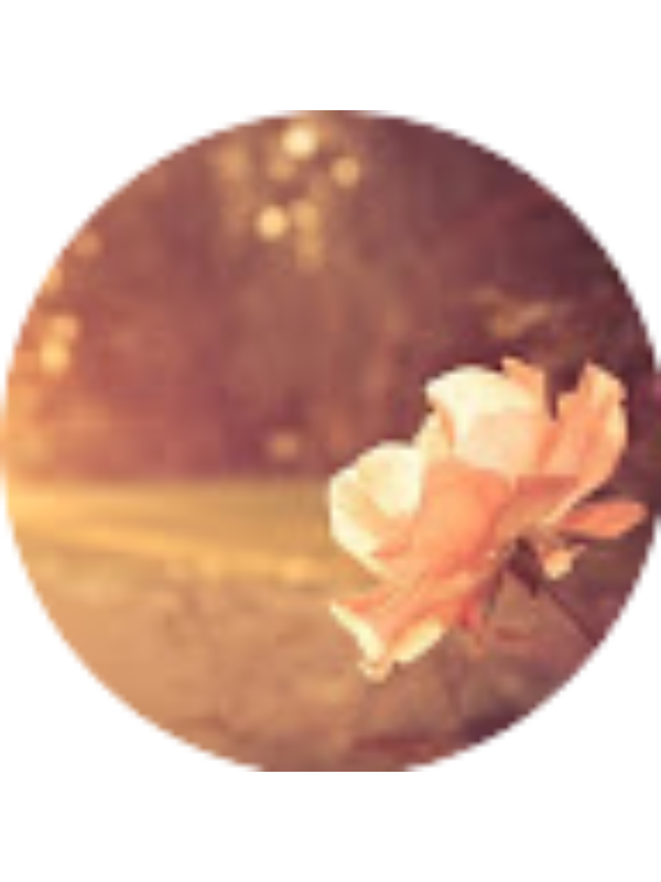 Photo of Alejandra Lovato