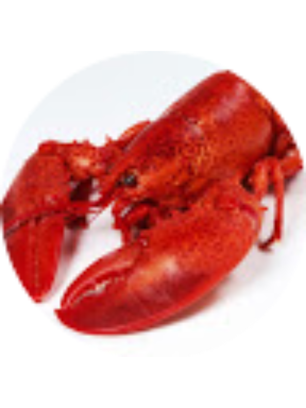 Photo of Ethan Landgrebe