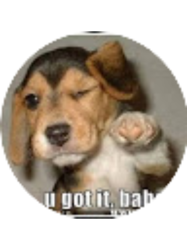 Photo of Taylor Bergmann