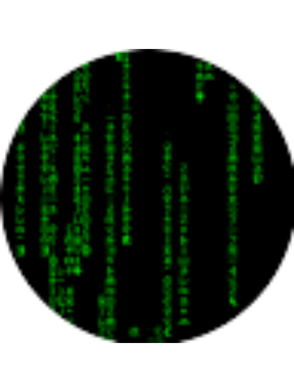 Photo of Anthony Bravo