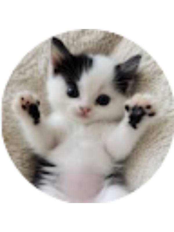 Photo of Syed Mohiuddin