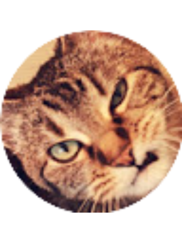 Photo of Kristiana Distel