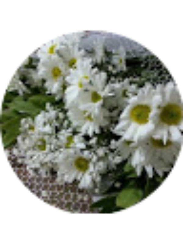 Photo of Tugba Baysal