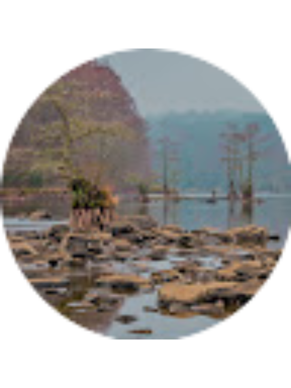 Photo of Juan Delgadillo