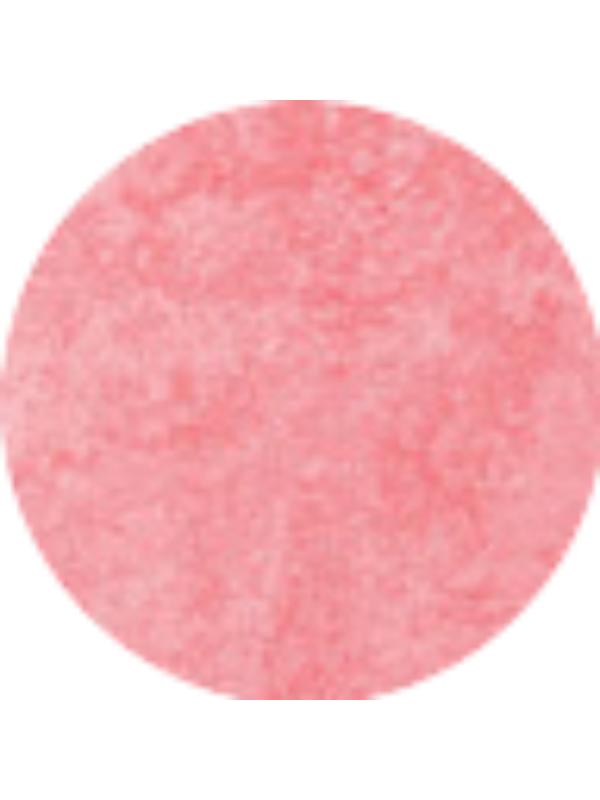 Photo of Patricia Luz Canet