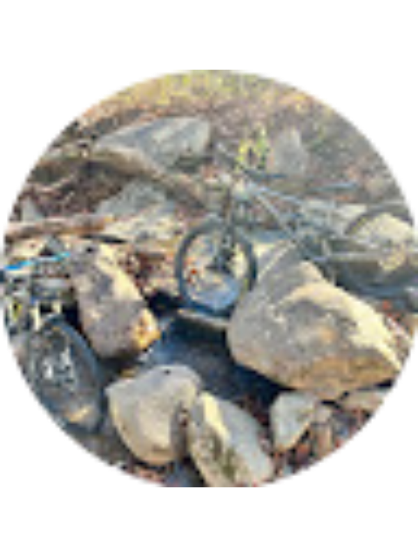 Photo of Mark Blandford