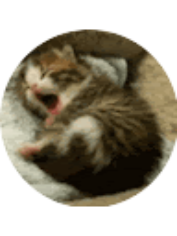 Photo of Daniel Yoon