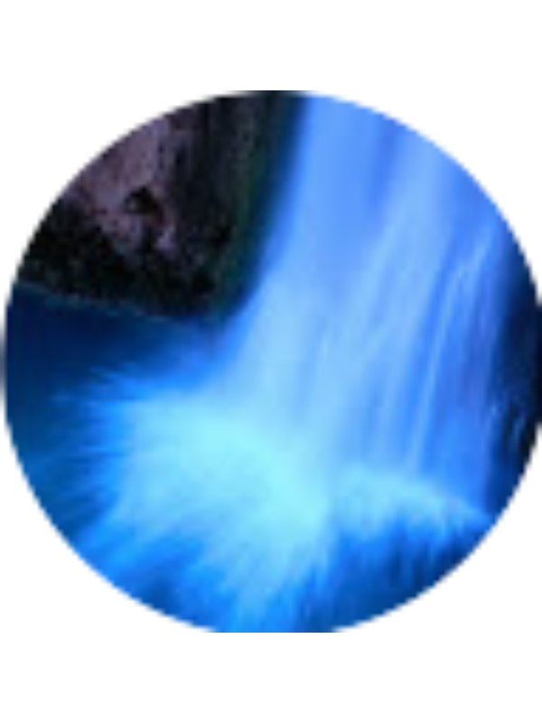 Photo of Addie Morgan