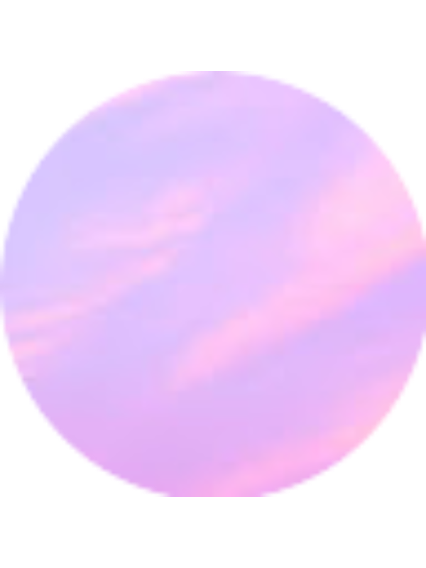 Photo of Gabriel Bernick