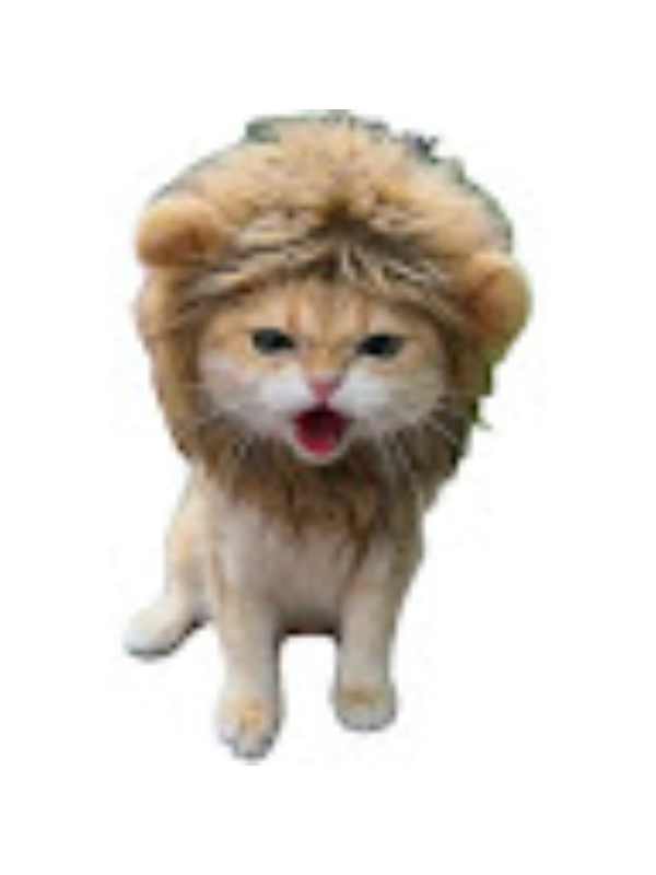 Photo of Caleb Solis