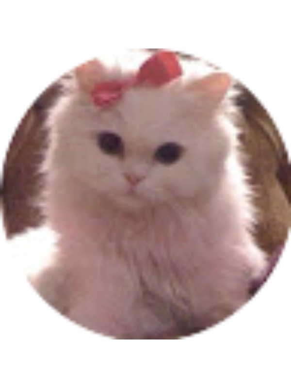 Photo of Talia Piersanti