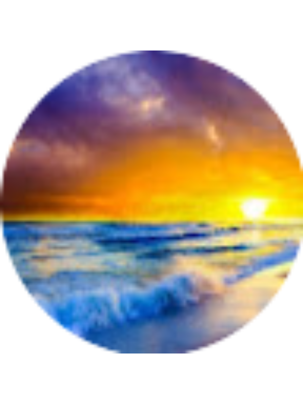 Photo of SARAH BARCALOW