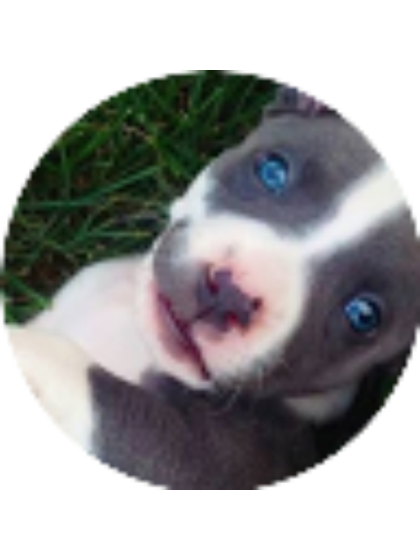 Photo of Steven Ramirez Jr.