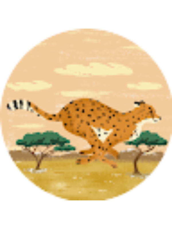 Photo of Karly Pratt