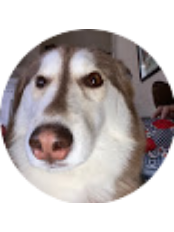 Photo of Caroline King