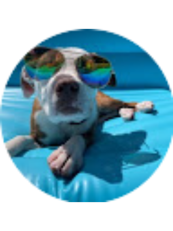 Photo of Laila Minguez