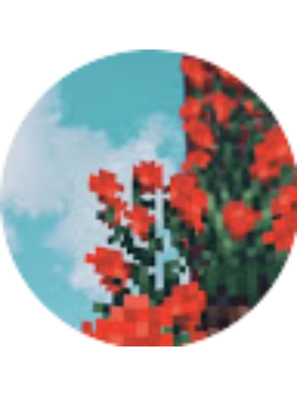 Photo of AP - 10ZZ 814289 Fletchers Meadow SS