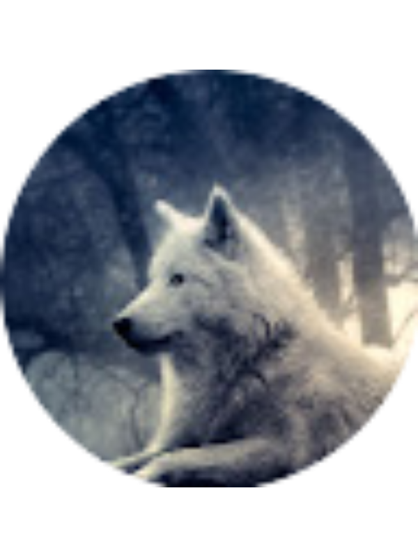 Photo of Laura Henrique dos Santos (6 5 SV)