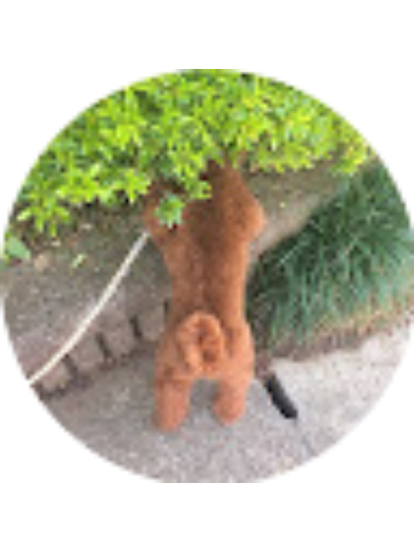 Photo of 美伶 内海