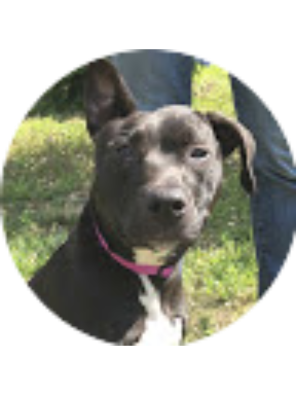 Photo of Jillian Burns