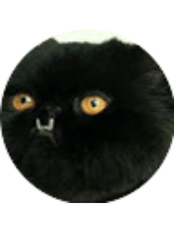 Photo of Paisley Williams