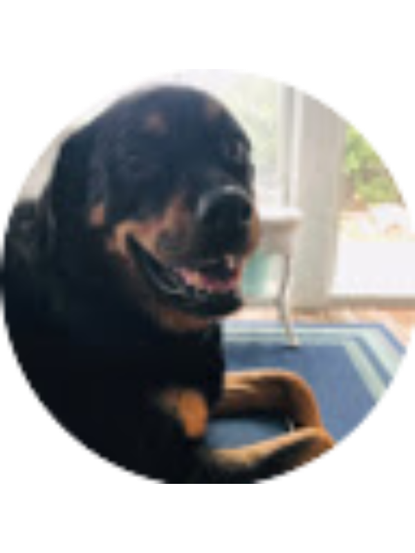 Photo of SYDNEY HALPERN