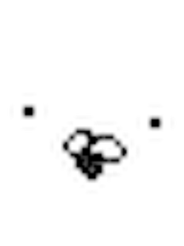 Photo of Steven Ferguson