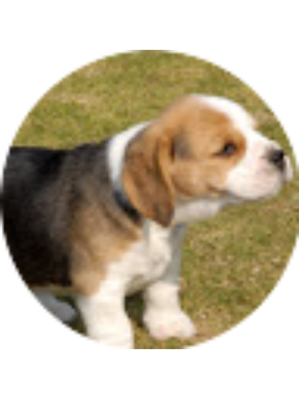 Photo of Natalie Kinsler _ Student - FuquayVarina