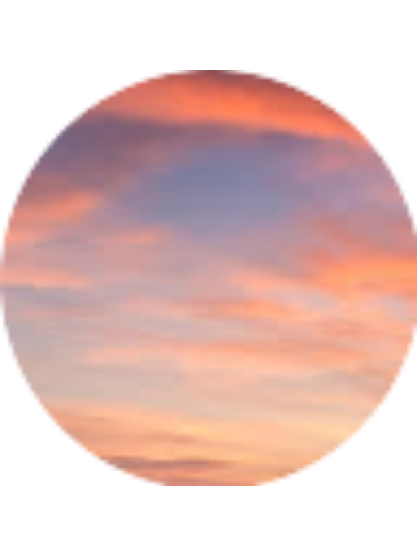 Photo of Carolina Mendoza