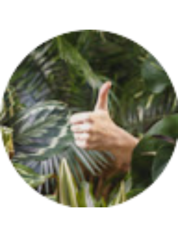 Photo of Alex Străinu