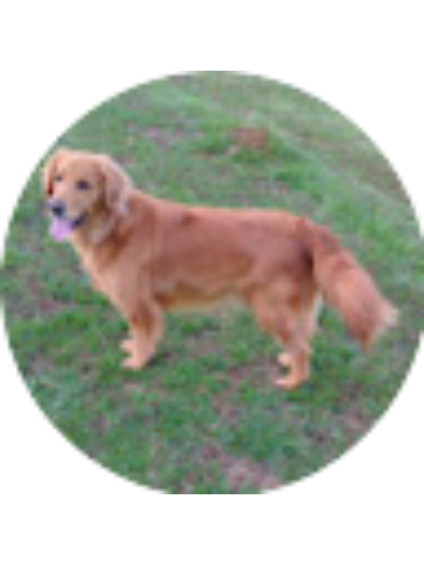 Photo of Sadie LaRue