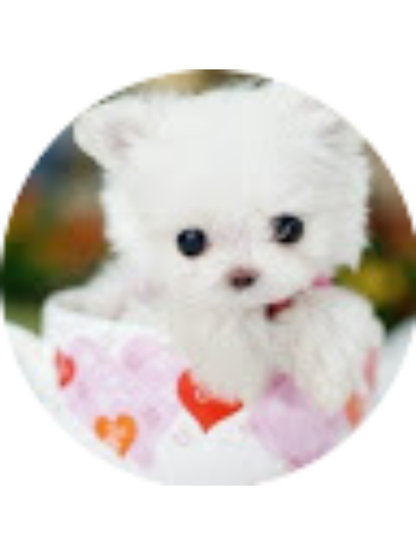 Photo of Elizabeth Kamineski