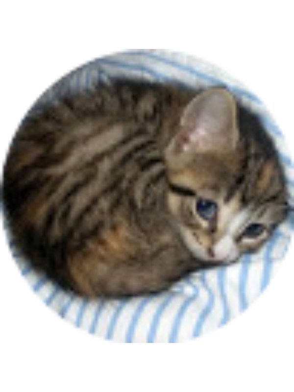 Photo of Alice Mohlman