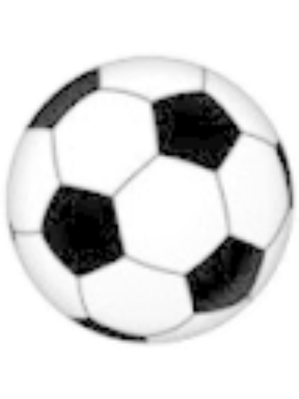 Photo of MARISSA ROGERS