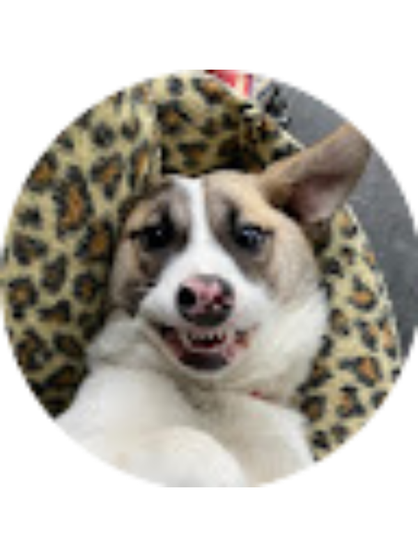 Photo of Serra G&uuml;nay