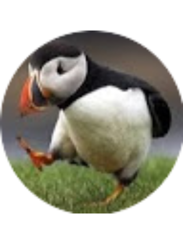 Photo of CATHERINE AUDET