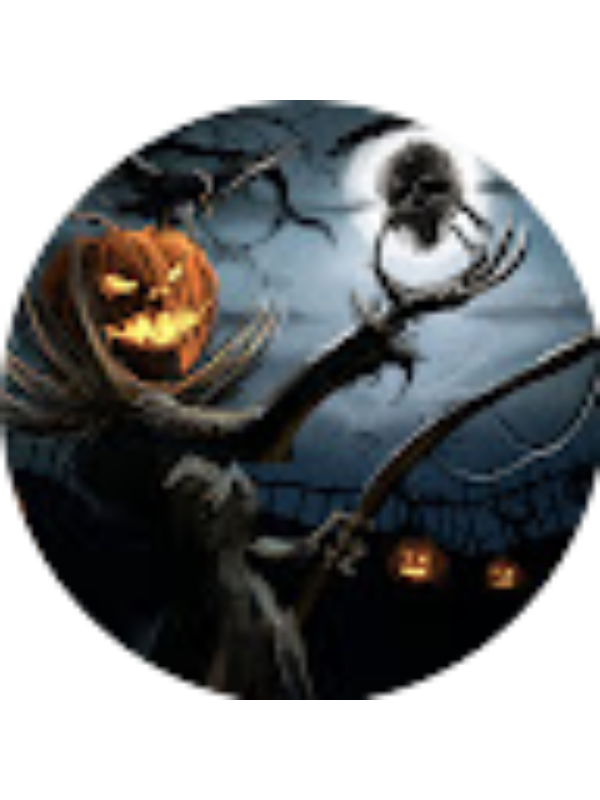 Photo of Miguel niga Gaspar