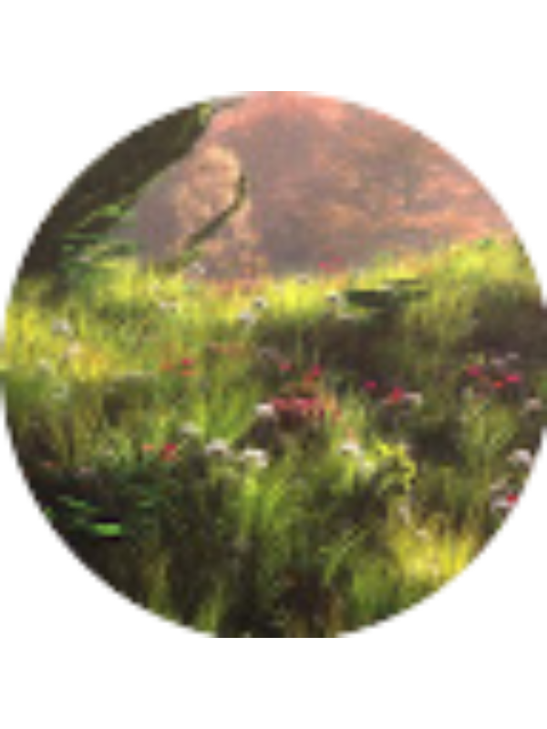 Photo of Schmitt Marielle