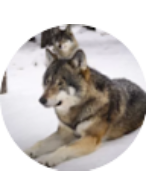 Photo of Paige Kurpgeweit