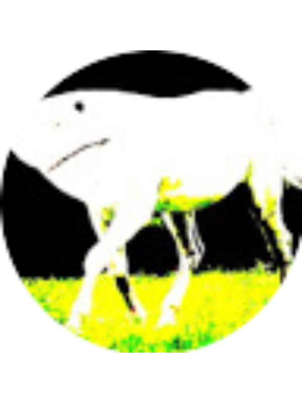 Photo of Aiden Burke