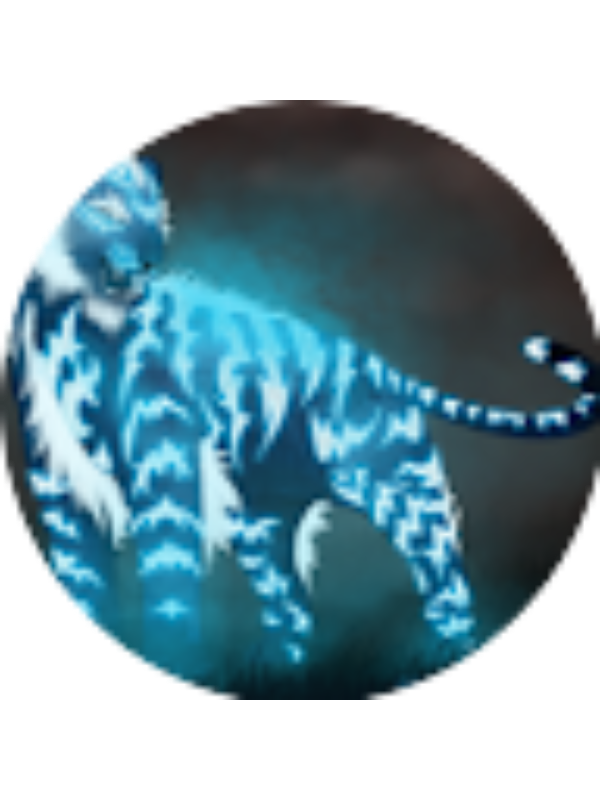 Photo of Aansh Verma