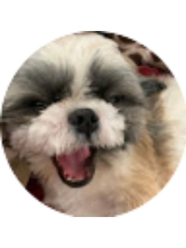 Photo of Bhuvana Palla