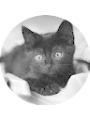 Picture of Sophie Colvin