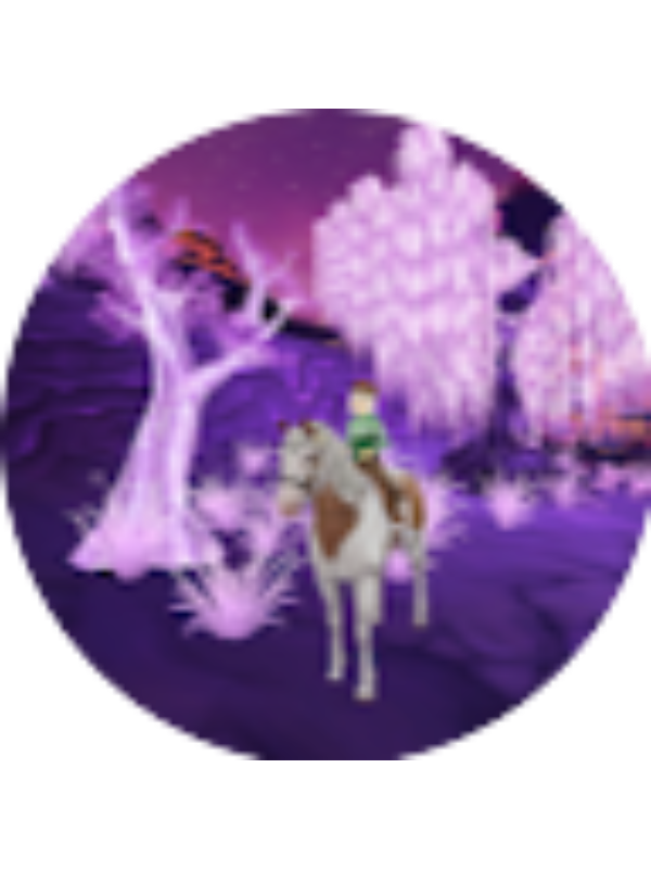 Photo of Sakura _sso