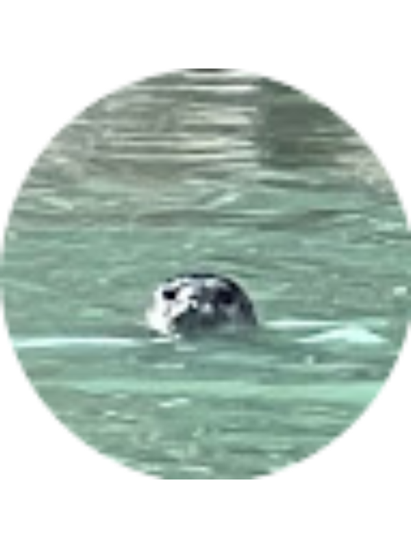 Photo of Taylor Lasagna