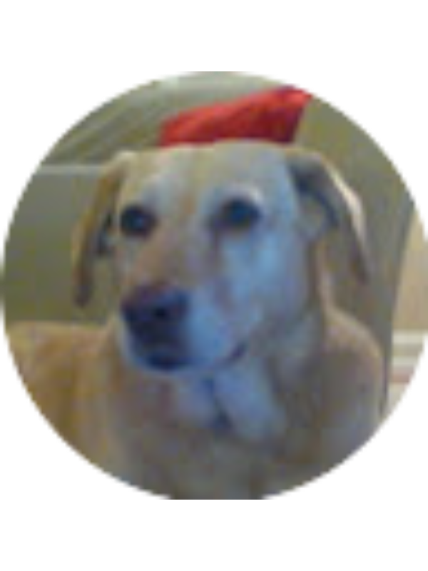 Photo of Olivia Smith