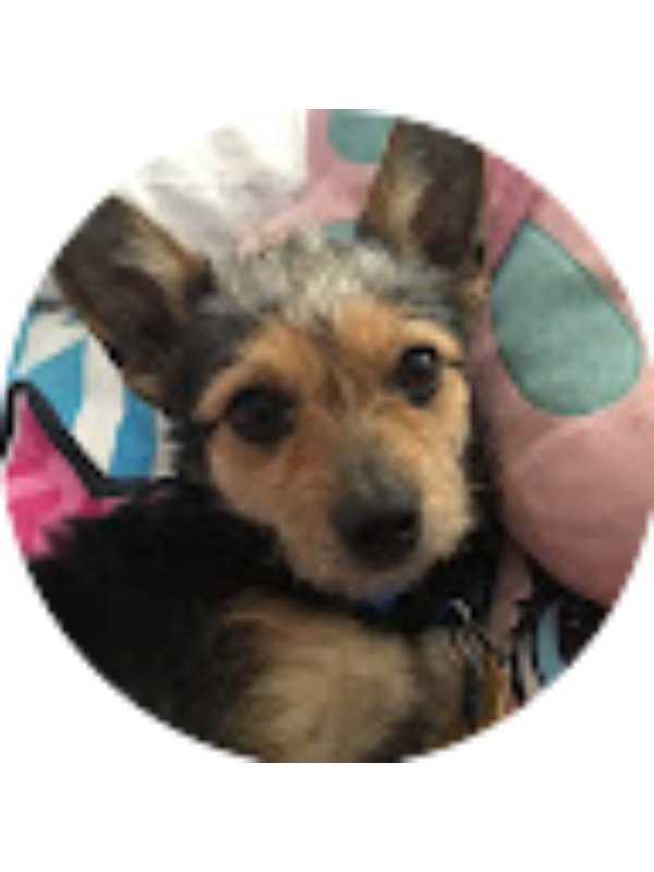 Photo of Gabrielly Silva De Oliveira [STUDENT]