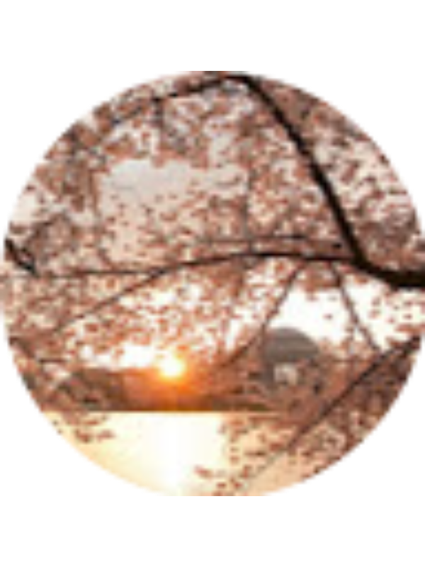 Photo of Annalise Nguyen