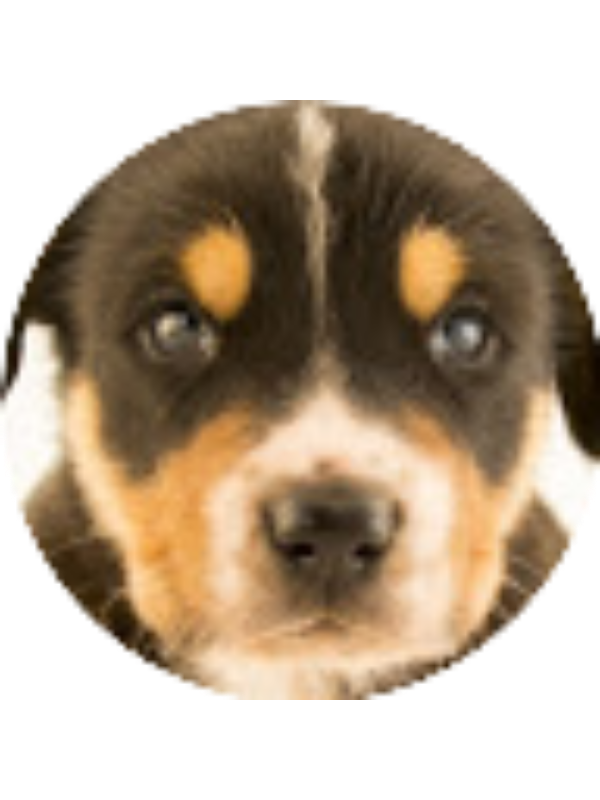 Photo of Morgan Tucker